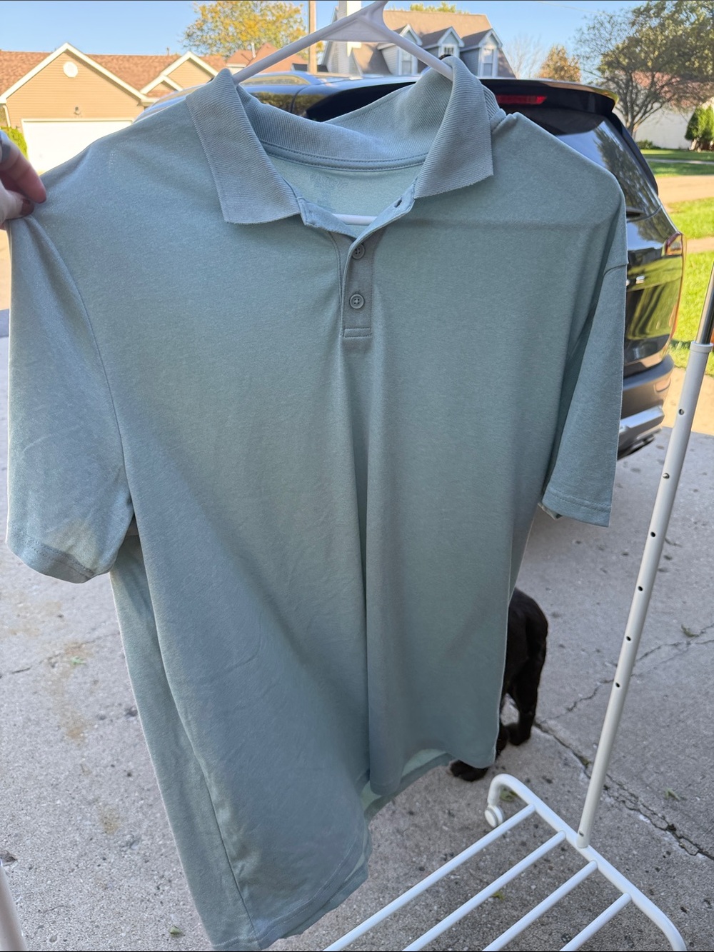Old Navy Men's Polo Shirt in Light Sage Green